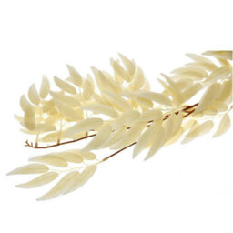 True Products Artificial Salix Leaf Champagne Vine Hanging Garland - 170Cm - thumbnail 3