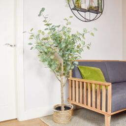 Candlelight Green 160Cm Eucalyptus Tree Artificial Plant In Black Australian Plastic Pot - thumbnail 2