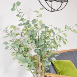 Candlelight Green 160Cm Eucalyptus Tree Artificial Plant In Black Australian Plastic Pot - thumbnail 3