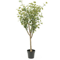 Candlelight Green 160Cm Eucalyptus Tree Artificial Plant In Black Australian Plastic Pot - thumbnail 1