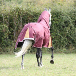 "Highlander Plus Combo Neck 100G Horse Turnout Rug Maroon (7 3"")" - thumbnail 2
