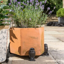 Jardinopia Bronze Owl Pot Feet Trio By Potty Feet - 3-Pack Poly Resin Pot Riser Set - thumbnail 1