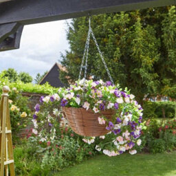 Smart Garden Petunias Flower Topiary Regal Hanging Basket Artificial 5611010 - thumbnail 1