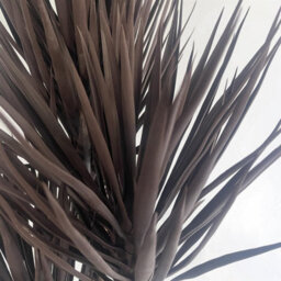 Leaf 155Cm Uv Resistant Artificial Xl Triple Yukka Tree Plant Spiky Tree Triple Dark - thumbnail 4
