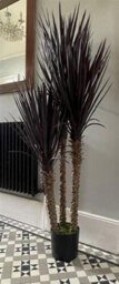 Leaf 155Cm Uv Resistant Artificial Xl Triple Yukka Tree Plant Spiky Tree Triple Dark - thumbnail 6