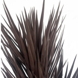 Leaf 155Cm Uv Resistant Artificial Xl Triple Yukka Tree Plant Spiky Tree Triple Dark - thumbnail 3
