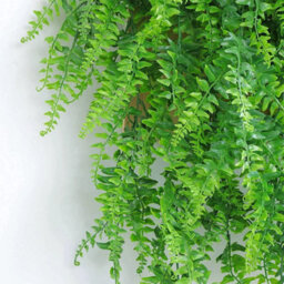 Artificial Hanging Fern Plants 4 Pack 80Cm Green Trailing Foliage For Home And Garden - thumbnail 4