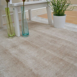 Beige Viscose Easy To Clean Bordered Luxurious , Modern Rug For Living Room, Bedroom - 160 X 160 (Square) - thumbnail 4