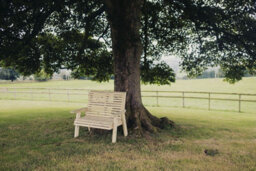 Churnet Valley Garden Furniture Ltd Churnet Valley Garden Furniture Ergo 2 Seat Bench - thumbnail 4