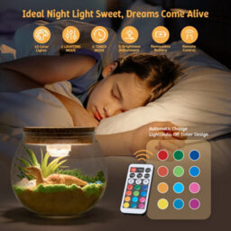 Living And Home Dinosaur Terrarium Kit For Kids With Colour-Changing Led Light Remote - thumbnail 2