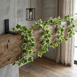 Leaf Pack Of 6 X 160Cm Artificial Ivy Garland Trailing Hanging Plant Faux Foliage - Variegated - thumbnail 4