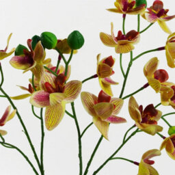 Leaf 43Cm Pink Yellow Artificial Orchid In Ceramic Planter - thumbnail 2