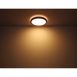 Luminosa Lighting Luminosa Bruno 39Cm Integrated Led Semi Flush Ceiling Light Matt Black Led 3000-6000K - thumbnail 7