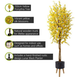 Pegdev - Pdl - 150Cm Artificial Forsythia Tree With Yellow Silk Blossoms And Natural Wood Trunk In Large Lunar Black Planter - thumbnail 2
