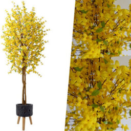 Pegdev - Pdl - 150Cm Artificial Forsythia Tree With Yellow Silk Blossoms And Natural Wood Trunk In Large Lunar Black Planter - thumbnail 5