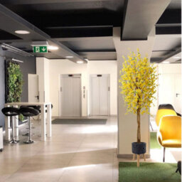 Pegdev - Pdl - 150Cm Artificial Forsythia Tree With Yellow Silk Blossoms And Natural Wood Trunk In Large Lunar Black Planter - thumbnail 4