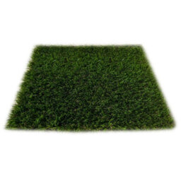 "Monte Rei 25mm Artificial Grass, Value For Money, Pet-Friendly Artificial Grass, Realistic Fake Grass-3M(9'9"") X 4M(13'1"")-12M²" - thumbnail 6