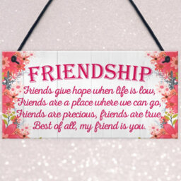Red Ocean My Friend Is You Friendship Best Friends Love Gift Hanging Plaque Home Present Sign - thumbnail 3