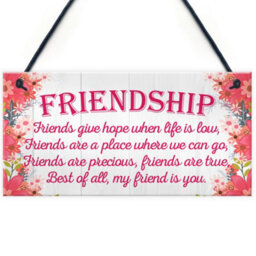Red Ocean My Friend Is You Friendship Best Friends Love Gift Hanging Plaque Home Present Sign - thumbnail 1