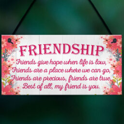 Red Ocean My Friend Is You Friendship Best Friends Love Gift Hanging Plaque Home Present Sign - thumbnail 4