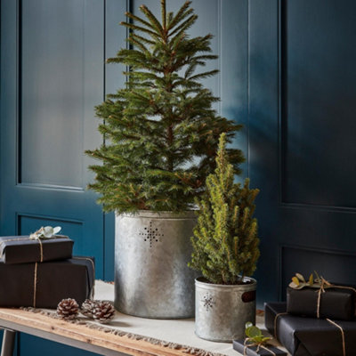 Ivyline Indoor Planter With Star In Galvanised Steel H23Cm W23Cm - image 1
