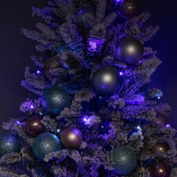 Samuel Alexander 57.5M 720 Led Supabrights Christmas String Lights With Timer In Blue, Purple & White - thumbnail 3