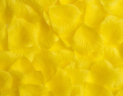 100 Best Artificial Yellow Silk Rose Petals For Wedding Valentines - image 1