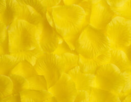 100 Best Artificial Yellow Silk Rose Petals For Wedding Valentines - thumbnail 1