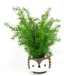 Leaf Artificial Fern Plant 45Cm Artificial Asparagus Fern Plant - thumbnail 3