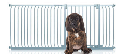 Bettacare Elite Pressure Dog Gate, 198Cm - 207Cm, Matt Grey, Pressure Fit Pet Gate For Dog And Puppy - image 1