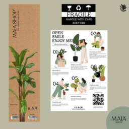Artificial Plant Banana Tree, Maia Shop For Home And Office Decoration, 180Cm - thumbnail 6