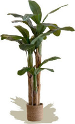 Artificial Plant Banana Tree, Maia Shop For Home And Office Decoration, 180Cm - thumbnail 4