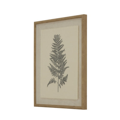 Flora & Fauna Collection Beech Fern On Linen In Beaded Frame - image 1