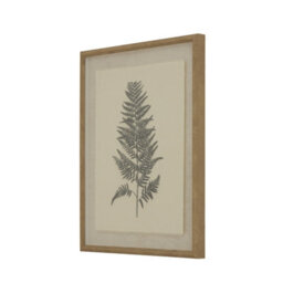 Flora  &  Fauna  Collection  Beech  Fern  On  Linen  In  Beaded  Frame