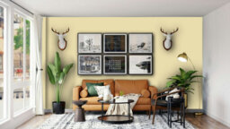 Johnstone's Trade Vinyl Silk Walls & Ceilings Emulsion Paint Treasure Chest (Ppg1108-3) 2.5L - thumbnail 5