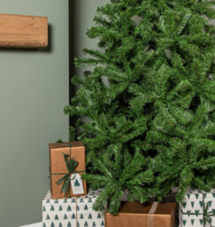 Samuel Alexander 7Ft (2.1M) Green Colorado Spruce Artificial Christmas Tree With 763 Tips - thumbnail 7