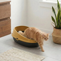 Urbn-Living Urbnliving Large Jumbo Oval Cat Litter Tray High-Sided, Deep Rim Open Toilet Box For Easy Cleaning - Mustard - thumbnail 4