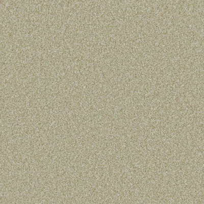 Furlong Flooring Provence Classic Carpet (Opal, 5M X 4M) - image 1