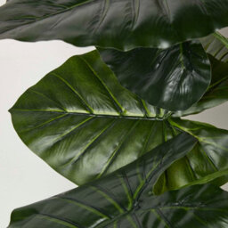 Homescapes Artificial Green Handcrafted Taro Plant In Pot, 90 Cm - thumbnail 4