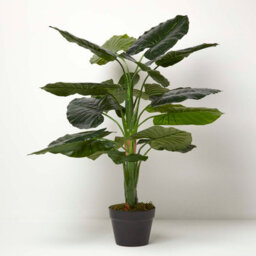 Homescapes Artificial Green Handcrafted Taro Plant In Pot, 90 Cm - thumbnail 5
