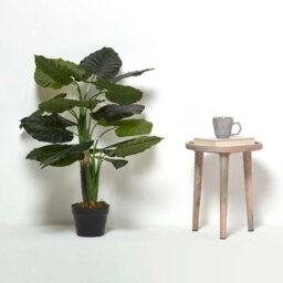 Homescapes Artificial Green Handcrafted Taro Plant In Pot, 90 Cm - thumbnail 6