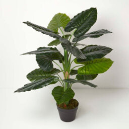 Homescapes Artificial Green Handcrafted Taro Plant In Pot, 90 Cm - thumbnail 1