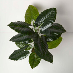 Homescapes Artificial Green Handcrafted Taro Plant In Pot, 90 Cm - thumbnail 2
