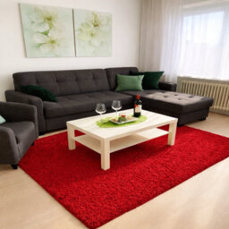 Uetian Red Shaggy Rug Luxury Soft Pile Area Rug For Bedroom Lounge Home Decor (120 X 170 Cm) - thumbnail 7