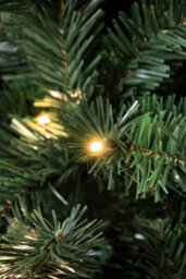 Christmas Tree World The Pre-Lit 2.3M Vanda Verde Fir Christmas Tree - thumbnail 8