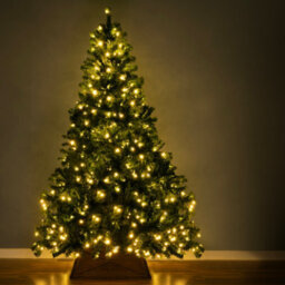 Christmas Tree World The Pre-Lit 2.3M Vanda Verde Fir Christmas Tree - thumbnail 2