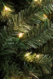 Christmas Tree World The Pre-Lit 2.3M Vanda Verde Fir Christmas Tree - thumbnail 6