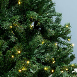 Christmas Tree World The Pre-Lit 2.3M Vanda Verde Fir Christmas Tree - thumbnail 3