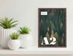 A2 Walnut Picture Frame Fits A2 (42 X 59.4Cm - 16.5 X 23.4In) Poster, Photo, Artwork, Or Print. - thumbnail 4