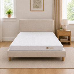 Ds Living Reflex 12Cm Firm Support Foam Mattress - Single